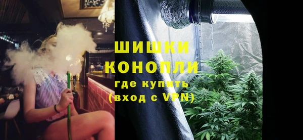 спайс Рославль