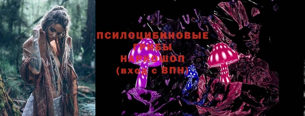 дживик Россошь