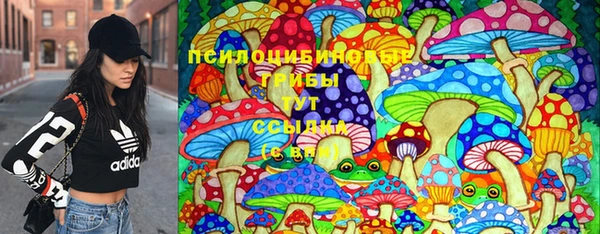 ешки Алзамай
