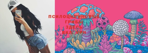 тгк Абдулино